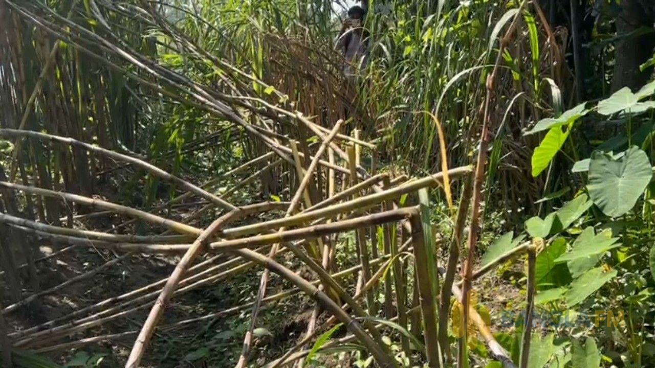 রূপগঞ্জে ১০ লাখ টাকা চাঁদা দাবি ও আখের খেত নষ্টের অভিযোগে লিখিত অভিযোগ