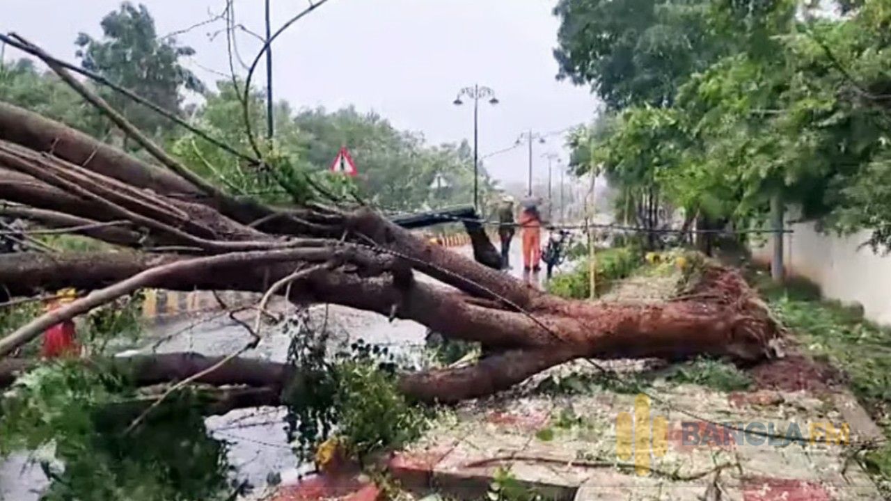 ভারতের ঘূর্ণিঝড় ‌অর্ণবের তাণ্ডবে ৫ জনের মৃত্যু