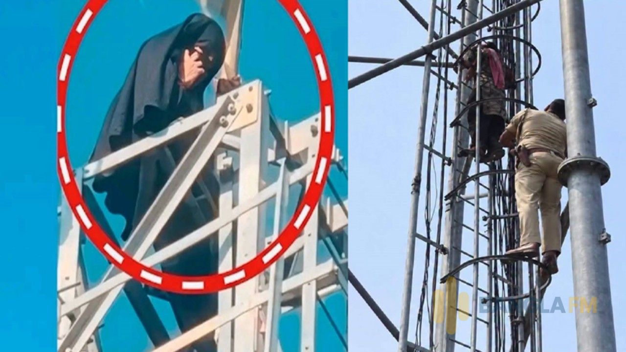 প্রেমিককে বিয়ের দাবিতে ১০০ ফুট উঁচু টাওয়ারে তরুণী: ভিডিও কলে বিয়ে