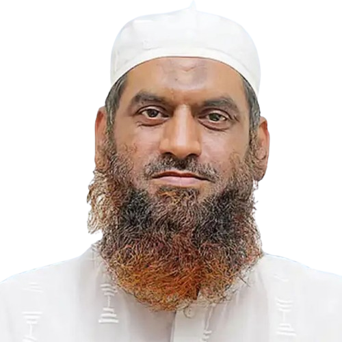 মামুনুল হক