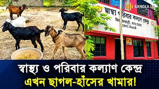 ভোগডাবুড়ী ইউনিয়ন স্বাস্থ্য ও পরিবার কল্যাণ কেন্দ্র এখন ছাগল ও হাঁসের খামার