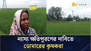 বিগত সরকারের সময়ে অধিগ্রহণ কৃত ফসিল জমির ন্যায্য মূল্য চায় ডোমারের কৃষকেরা