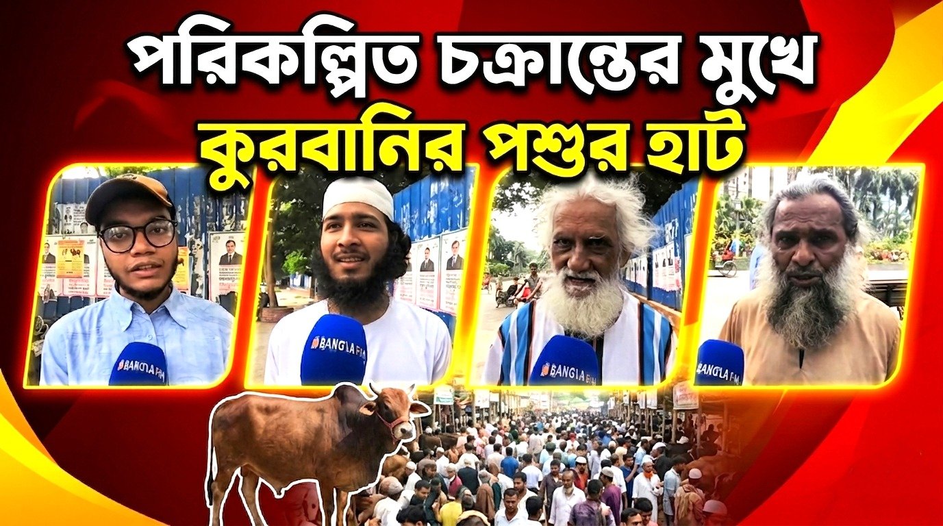 পরিকল্পিত চক্রান্তের মুখে কুরবানির পশুর হাট