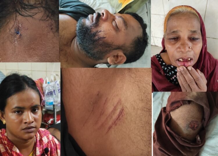 ঠাকুরগাঁওয়ে বাড়িতে ঢুকে হামলা