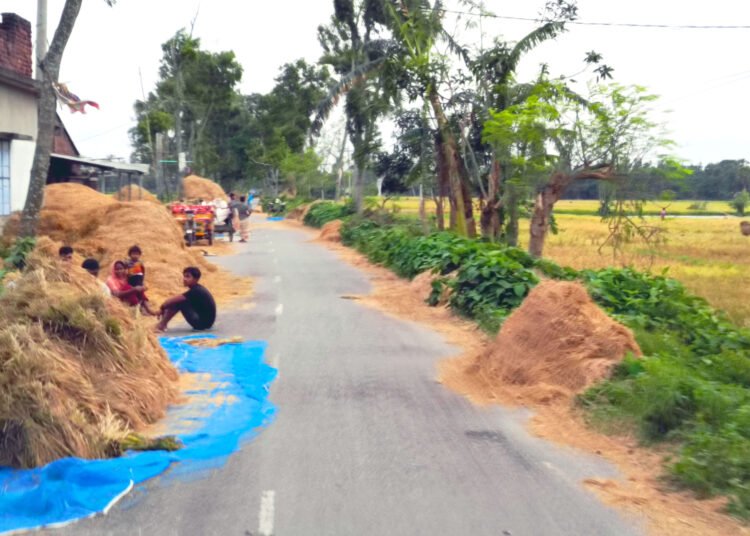 ছবিটি লক্ষণপাড়া-বড়থা বাজার সংলগ্ন আঞ্চলিক সড়ক থেকে তোলা। ছবি: মো. এ কে নোমান