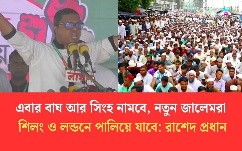 এবার বাঘ আর সিংহ নামবে, নতুন জালেমরা শিলং ও লন্ডনে পালিয়ে যাবে: রাশেদ প্রধান