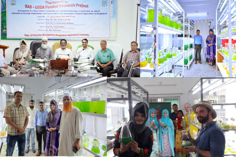দেশের প্রথম সমন্বিত লাইভ ফিড-অ্যাকোয়াফিড প্রযুক্তি উদ্ভাবন করল বাকৃবি