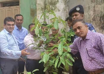 প্রধানমন্ত্রীর উদ্যোগে সিরাজগঞ্জে ১,৬৭১টি বিদ্যালয়ে গাছের চারা রোপণ কর্মসূচি'র উদ্বোধন
