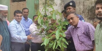 প্রধানমন্ত্রীর উদ্যোগে সিরাজগঞ্জে ১,৬৭১টি বিদ্যালয়ে গাছের চারা রোপণ কর্মসূচি'র উদ্বোধন