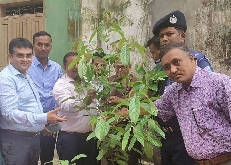 প্রধানমন্ত্রীর উদ্যোগে সিরাজগঞ্জে ১,৬৭১টি বিদ্যালয়ে গাছের চারা রোপণ কর্মসূচি'র উদ্বোধন