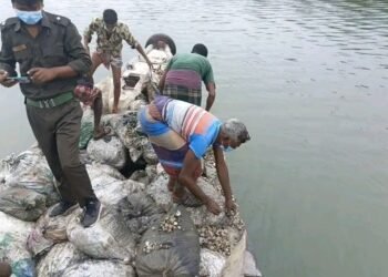 বনবিভাগের অভিযানে উদ্ধারকৃত ৭৭ বস্তা ঝিনুক মালঞ্চ নদীতে অবমুক্ত