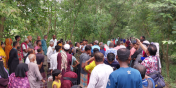 নীলফামারীতে আদা ক্ষেত থেকে কবিরাজের মরদেহ উদ্ধার