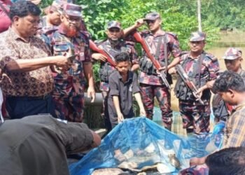ব্রাহ্মণবাড়িয়া সীমান্তে বিজিবির অভিযানে পাচারের হাত থেকে রক্ষা পেল ৬৫ কচ্ছপ