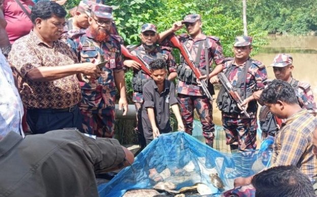 ব্রাহ্মণবাড়িয়া সীমান্তে বিজিবির অভিযানে পাচারের হাত থেকে রক্ষা পেল ৬৫ কচ্ছপ