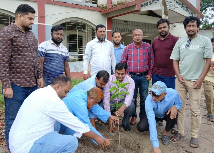 Tree plantation program held under the initiative of Barura Police Station Press Club.