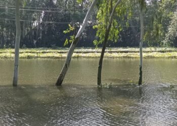 বন্যার পানি কমলেও কুড়িগ্রামে শেষ হয়নি দুর্ভোগ