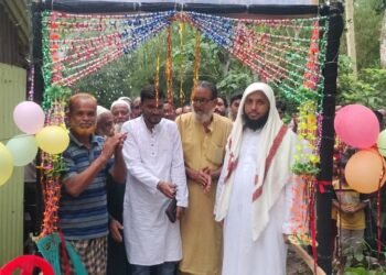 ব্যক্তি অর্থায়নে দক্ষিণ বিলডগা খালের উপর কাঠের সেতু নির্মাণ