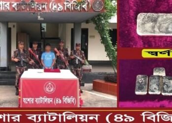 বিজিবির অভিযানে যশোর -নড়াইল মহাসড়কে স্বর্ণের বারসহ আটক ১