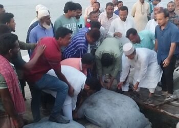 Inauguration of geo-bag placement to prevent Dharla River erosion in Kurigram