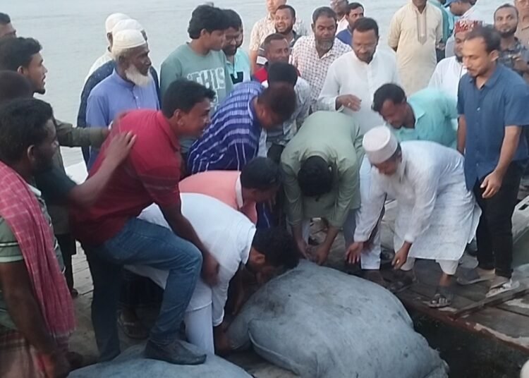 Inauguration of geo-bag placement to prevent Dharla River erosion in Kurigram