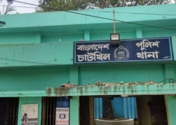 স্বামীর নির্যাতন সইতে না পেরে যমজ শিশুর মায়ের আত্মহত্যা