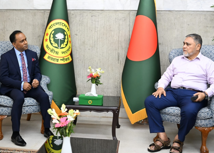 সংসদ ভবনে ভারপ্রাপ্ত স্পিকারের সঙ্গে সিইসির বৈঠক