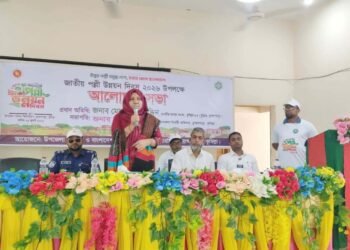 ​ব্রাহ্মণপাড়ায় জাতীয় পল্লী উন্নয়ন দিবস উপলক্ষে আলোচনা সভা