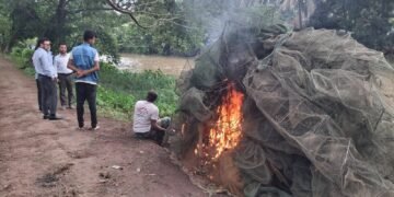 পটুয়াখালীতে নিষিদ্ধ চায়না দুয়ারি জাল জব্দ, পুড়িয়ে ধ্বংস