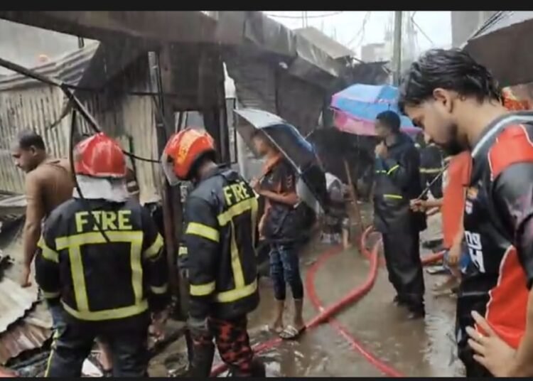 কাপাসিয়া বাজারে ভয়াবহ অগ্নিকাণ্ড: পুড়লো ৮ দোকান ও বসতবাড়ি, ক্ষয়ক্ষতি কোটি টাকা
