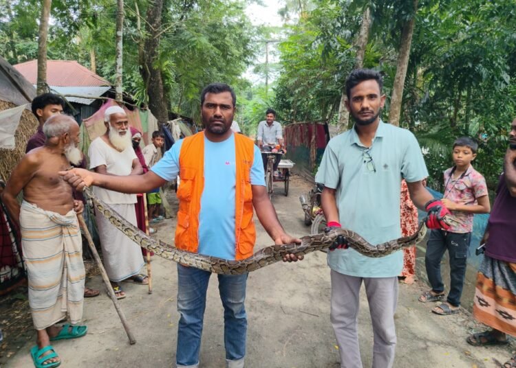 শরণখোলায় এক সপ্তাহে লোকালয় থেকে ৫ টি সাপ উদ্ধার