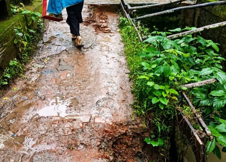 নেছারাবাদে ভাঙনে বিলীন রাজাবাড়ি-জিলবাড়ি সড়ক