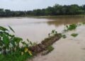 ধলাই ভাঙনে কমলগঞ্জে ১৫ গ্রাম প্লাবিত