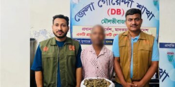 মৌলভীবাজারে ডিবির অভিযানে গাঁজাসহ মাদক কারবারি গ্রেফতার