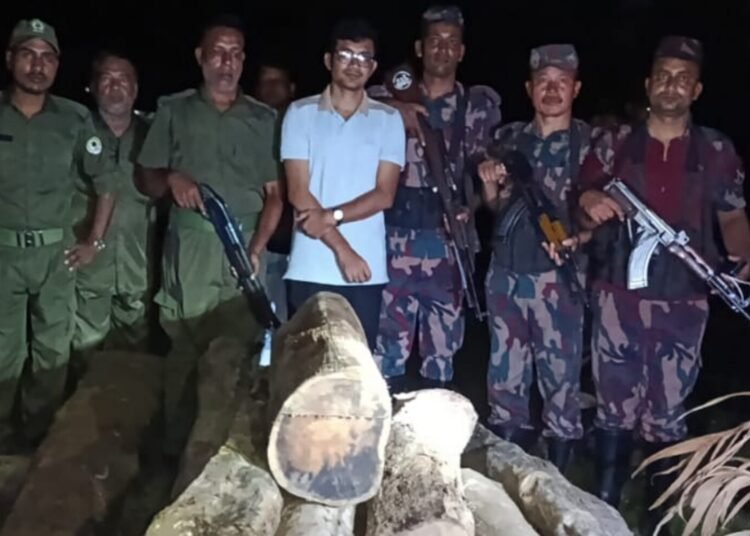 মৌলভীবাজারে বন বিভাগের অভিযানে সেগুন কাঠ জব্দ