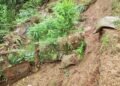 https://bangla.fm/high-risk-of-landslides-in-bandarban-high-alert-issued-for-three-upazilas/