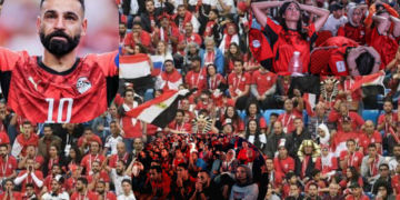 হারের পরও বীরের মর্যাদা, আবেগে ভাসছে মিশর