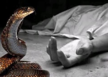 হরিপুরে সাপের কামড়ে গৃহবধূর মৃত্যু