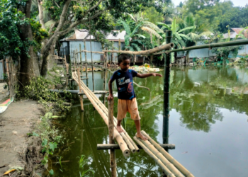 বৃষ্টিতে যাতায়াতে গ্রামবাসীর ভরসা সরু বাঁশের সাঁকো