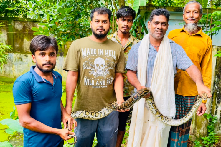 বিশ্ব সাপ দিবসে অজগর উদ্ধারে সচেতনতার বার্তা