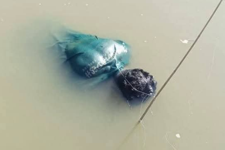 থানচির রাজা পাথরে নিখোঁজ পর্যটকের মরদেহ উদ্ধার