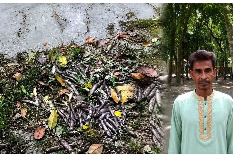 নেত্রকোনায় ফিসারির সব মাছ মরে প্রায় ৫০ লাখ টাকার ক্ষতি