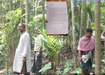 রামপালে জমি দখলের চেষ্টা, স্বর্ণালংকার ছিনতাই ও হত্যার হুমকির অভিযোগ