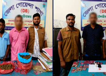 Three arrested with yaba, marijuana in DB raid in Srimangal