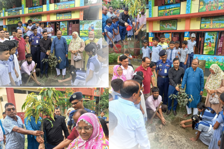গোপালপুরে ১৬১টি সরকারি প্রাথমিক বিদ্যালয়ে বৃক্ষরোপণ কর্মসূচির উদ্বোধন