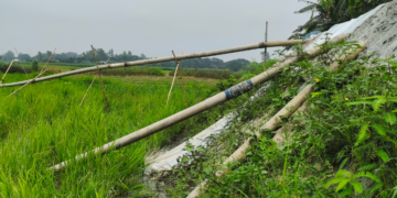 সিরাজদিখানে বিলের ফসলি জমি ড্রেজিং করে ভরাটের অভিযোগ