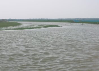 জেলেদের জন্য বন্ধ হয়ে যাচ্ছে খাল