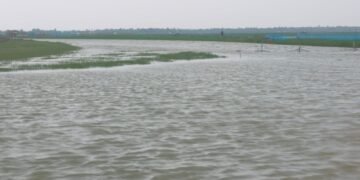 জেলেদের জন্য বন্ধ হয়ে যাচ্ছে খাল