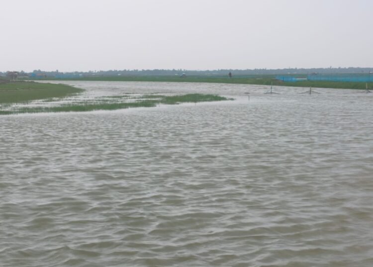 জেলেদের জন্য বন্ধ হয়ে যাচ্ছে খাল