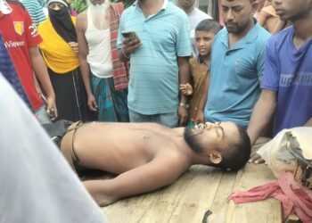 উজিরপুরে শাপলা বিলে নৌকা থেকে পড়ে পর্যটকের মৃত্যু