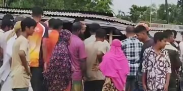 জামালপুরে ট্রাক চাপায় নিহত- ২